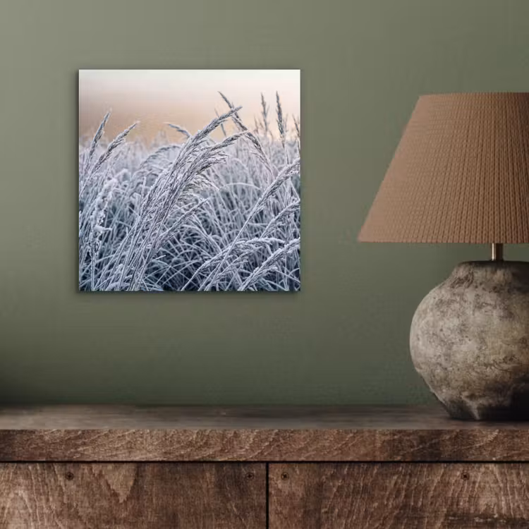 Aluminium schilderij - Rijp - Gras - Kristallen - Winter - Minimalistisch — 3