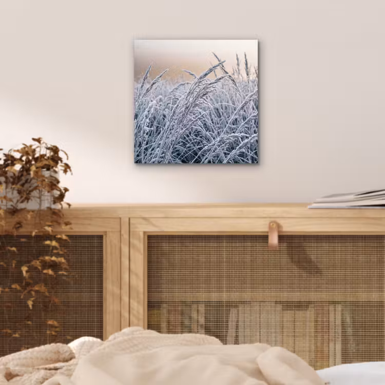 Aluminium schilderij - Rijp - Gras - Kristallen - Winter - Minimalistisch — 4