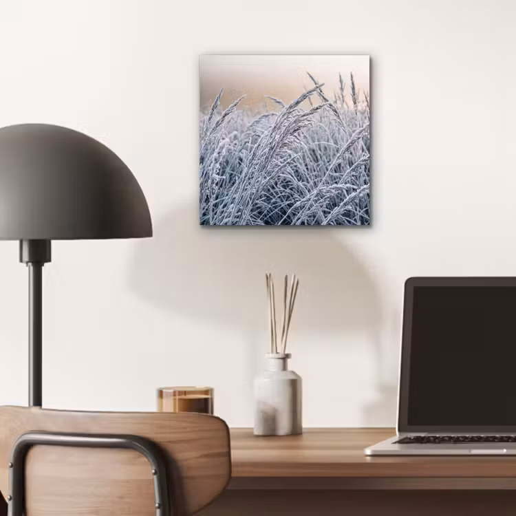 Aluminium schilderij - Rijp - Gras - Kristallen - Winter - Minimalistisch — 6