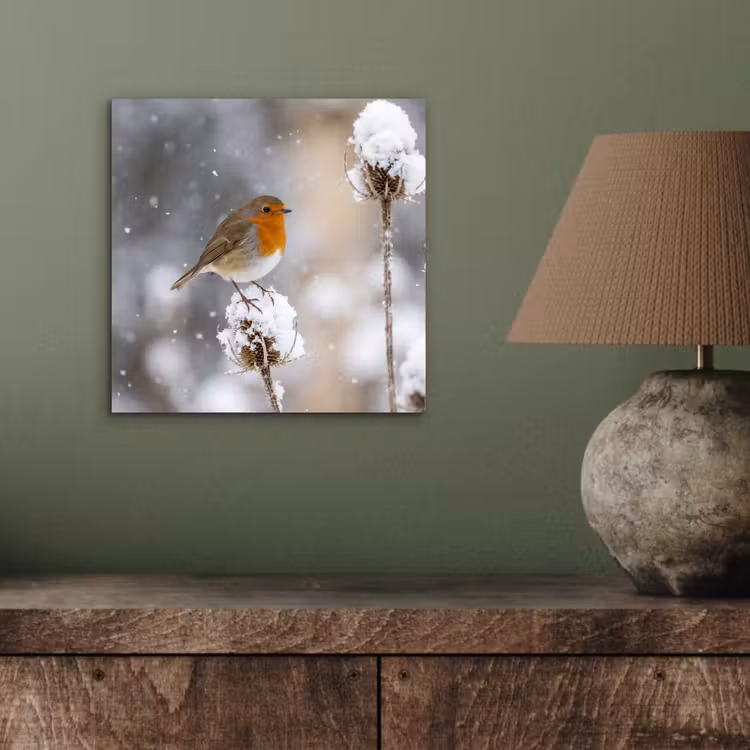 Aluminium schilderij - Roodborstje - Gedroogde bloem - Sneeuw - Winter - Vertederend — 3