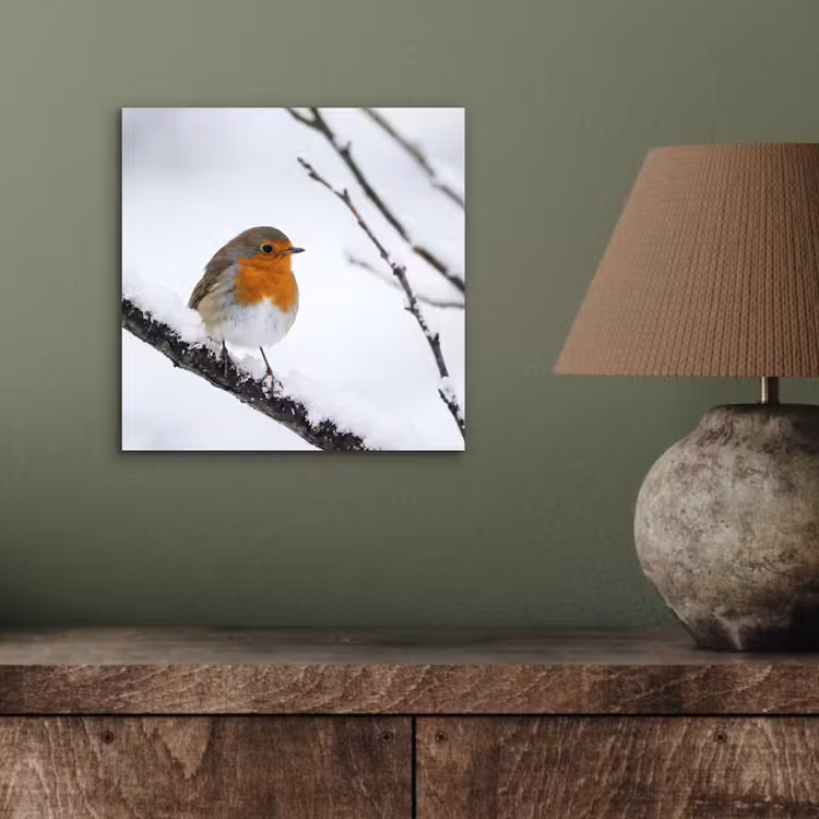 Aluminium schilderij - Roodborstje - Tak - Sneeuw - Winter - Levendig — 3