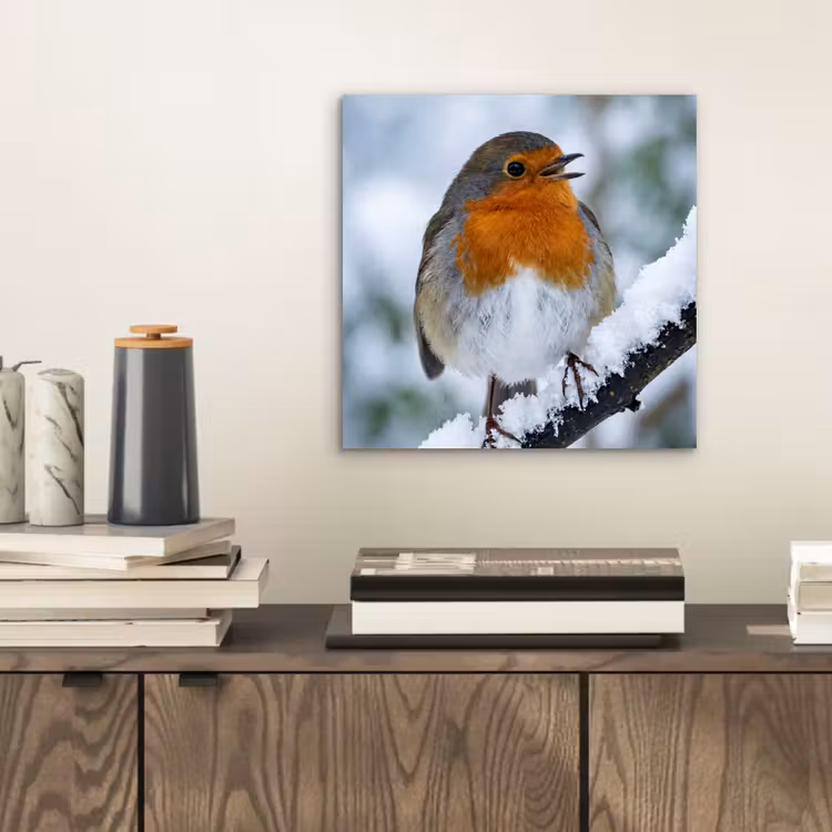 Aluminium schilderij - Roodborstje - Tak - Sneeuw - Winter - Levendig — 2