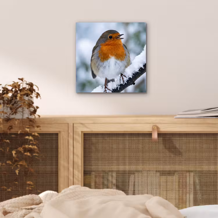 Aluminium schilderij - Roodborstje - Tak - Sneeuw - Winter - Levendig — 4
