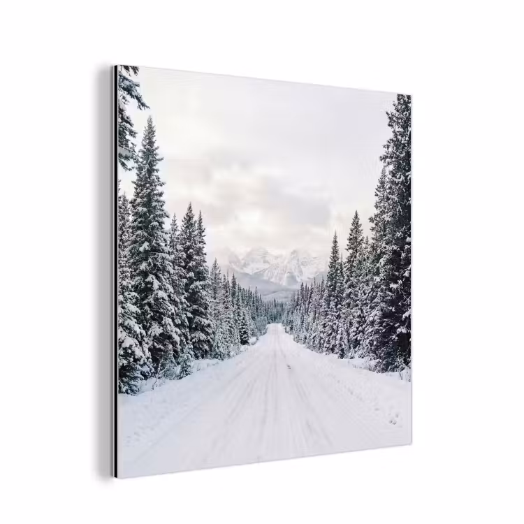 Aluminium schilderij - Weg - Sneeuw - Naaldbos - Winter - Avontuurlijk — 1