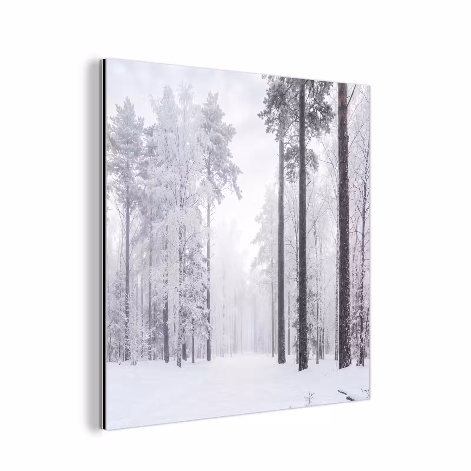 Aluminium schilderij - Bos - Sneeuw - Pad - Winter - Stilte — 1