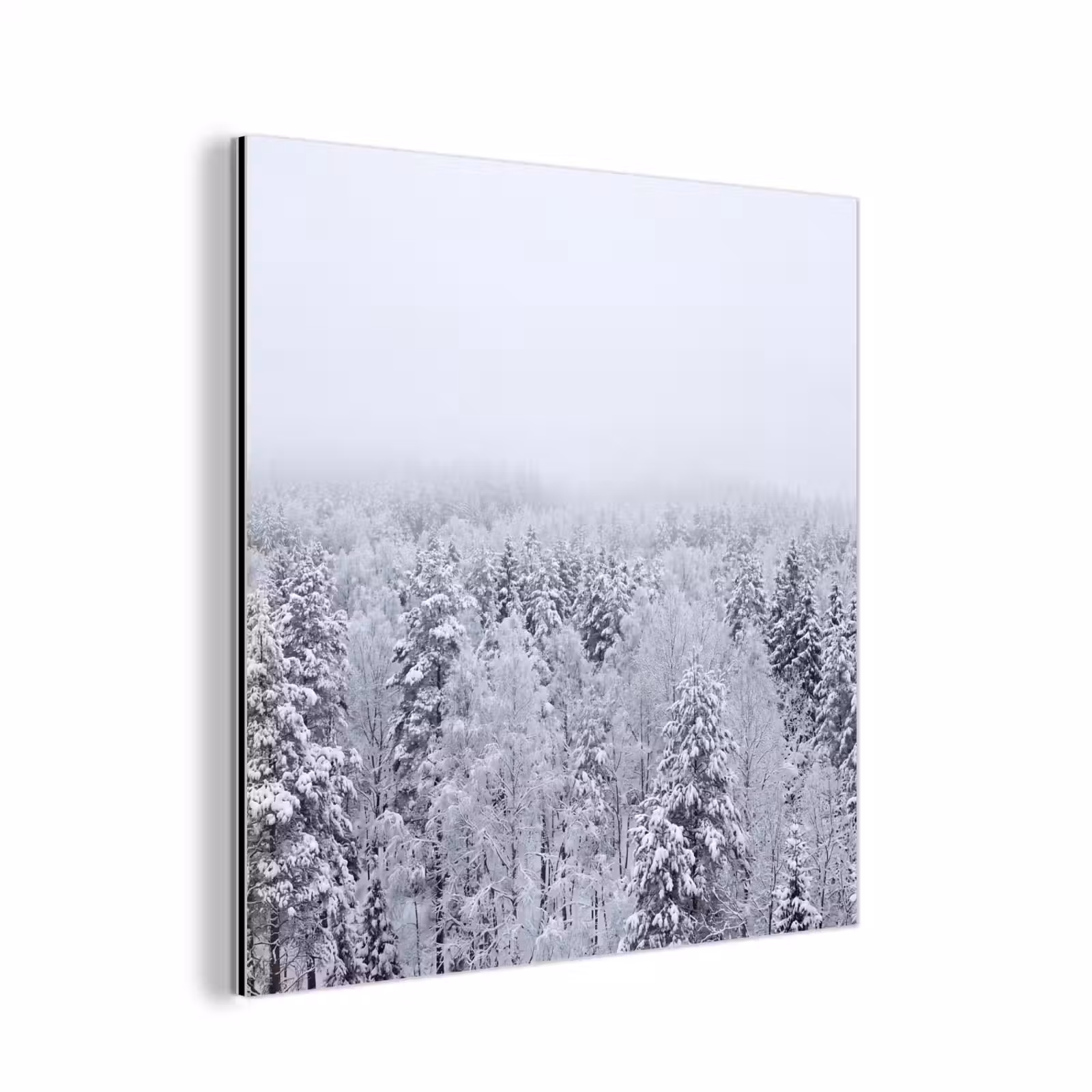 Aluminium schilderij - Bos - Sneeuw - Winter - Natuur - Wit — 1