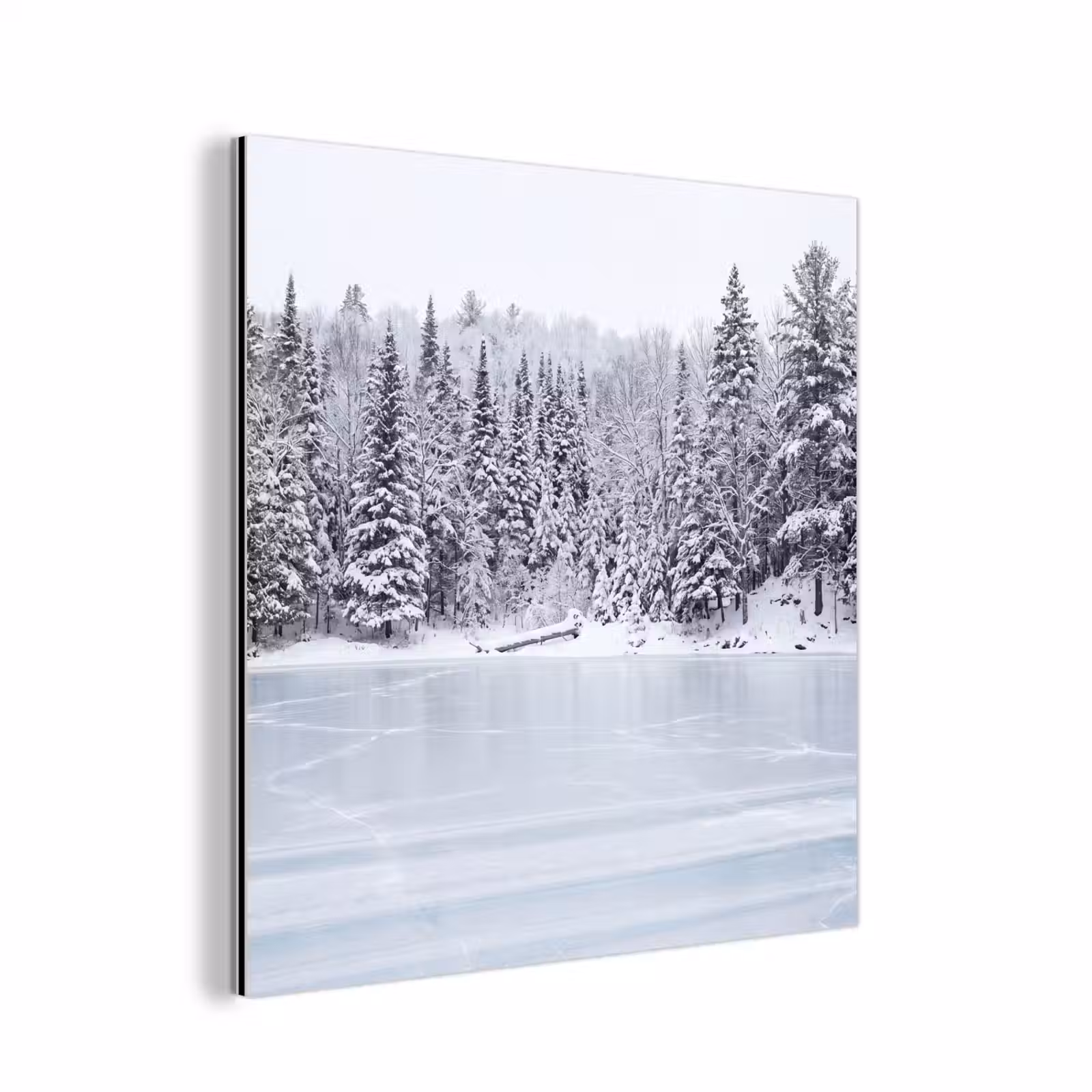 Aluminium schilderij - Meer - Dennen - IJs - Winter - Rustgevend — 1
