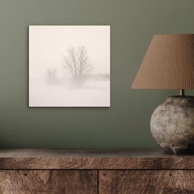 Aluminium schilderij - Boom - Mist - Sneeuw - Winter - Minimalistisch — 3