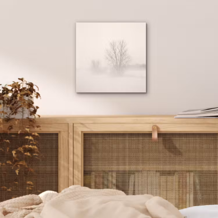 Aluminium schilderij - Boom - Mist - Sneeuw - Winter - Minimalistisch — 4