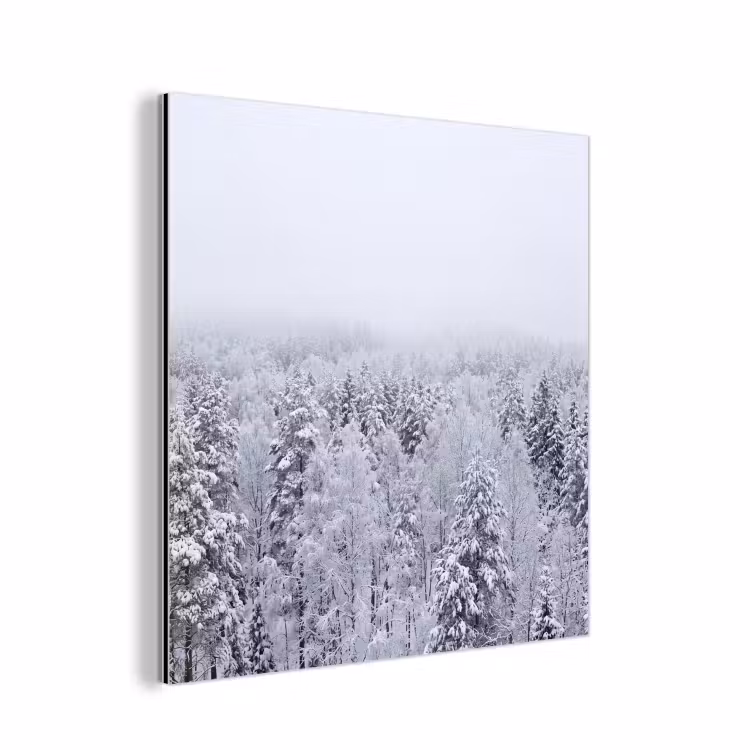 Aluminium schilderij - Bos - Sneeuw - Winter - Natuur - Wit — 1