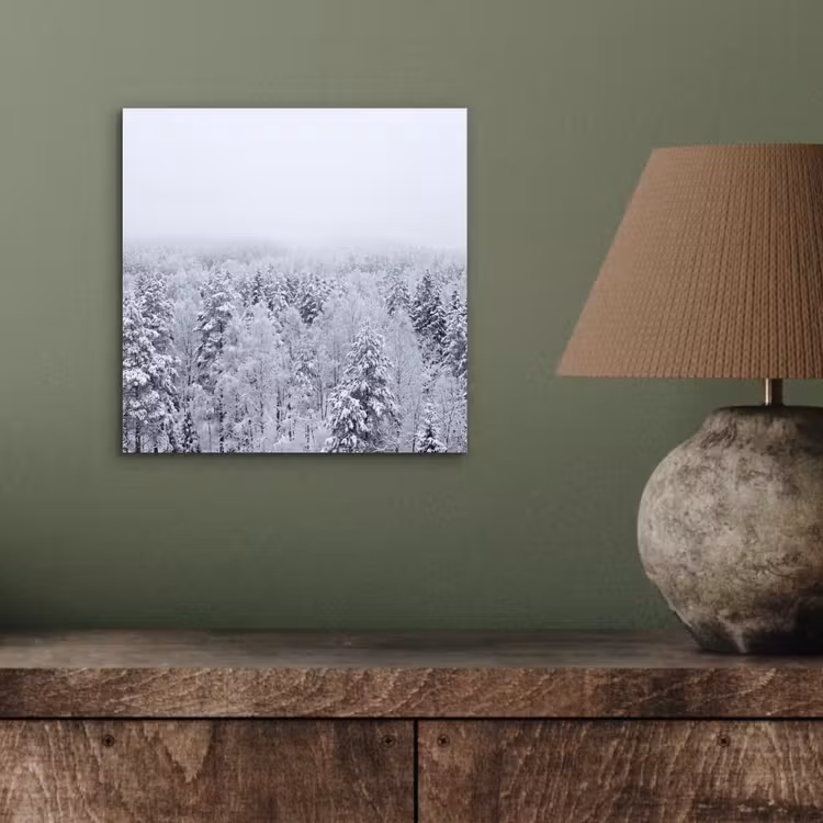 Aluminium schilderij - Bos - Sneeuw - Winter - Natuur - Wit — 3