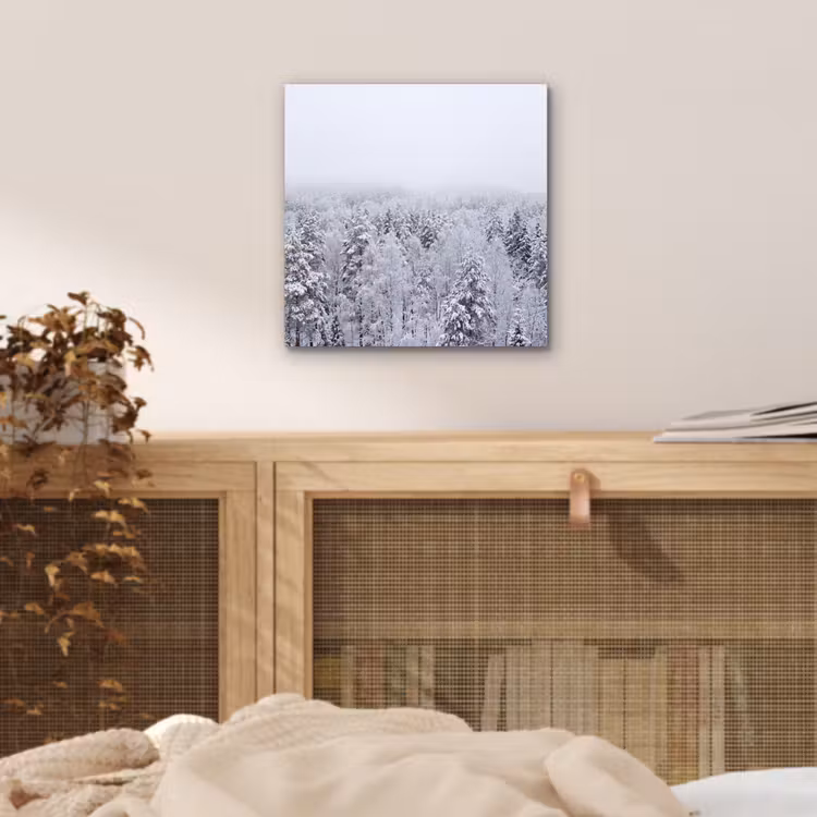 Aluminium schilderij - Bos - Sneeuw - Winter - Natuur - Wit — 4