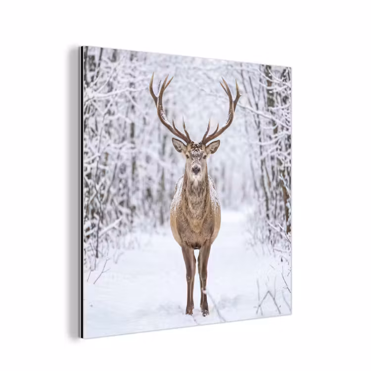 Aluminium schilderij - Hert - Winter - Bos - Natuur - Wit — 1