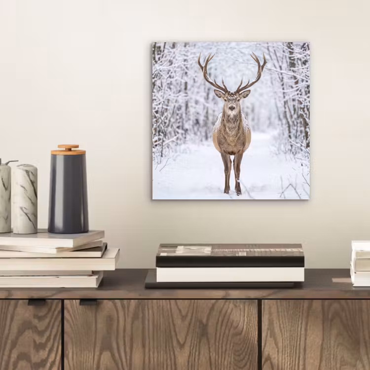 Aluminium schilderij - Hert - Winter - Bos - Natuur - Wit — 2