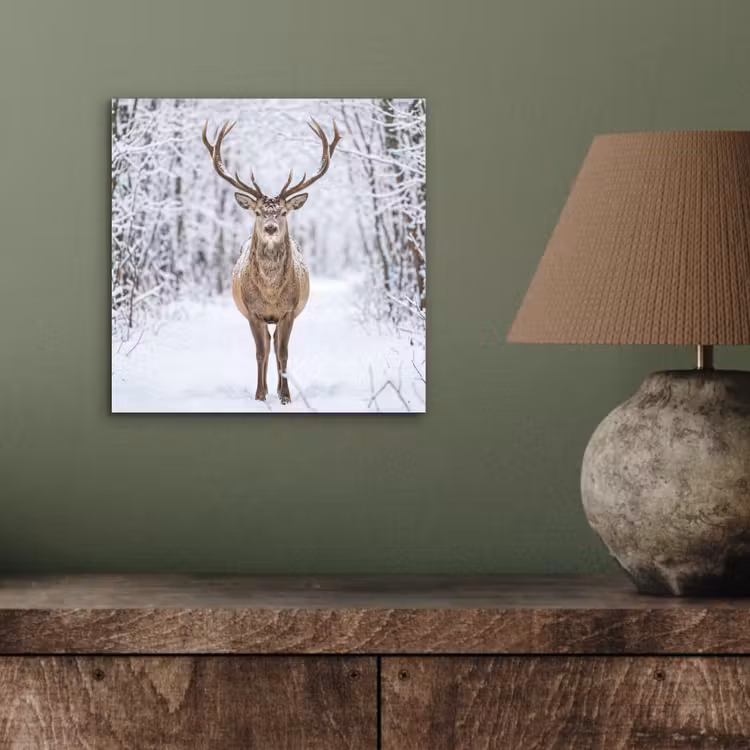 Aluminium schilderij - Hert - Winter - Bos - Natuur - Wit — 3