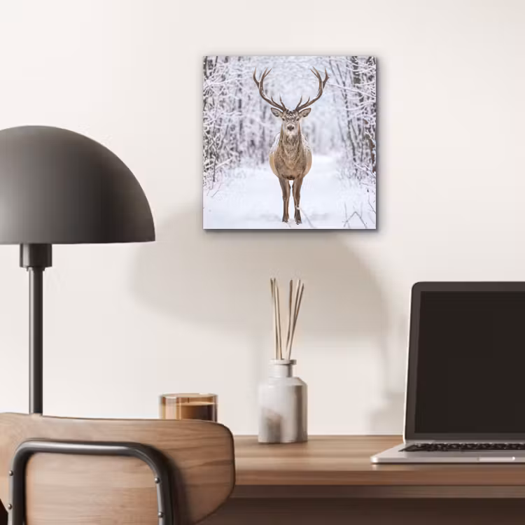 Aluminium schilderij - Hert - Winter - Bos - Natuur - Wit — 6