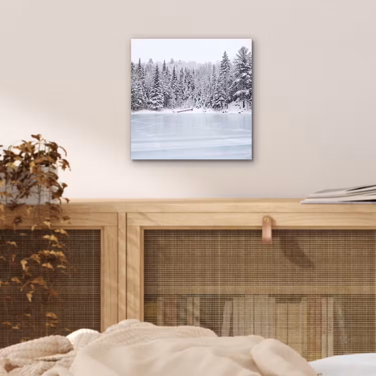 Aluminium schilderij - Meer - Dennen - IJs - Winter - Rustgevend — 4