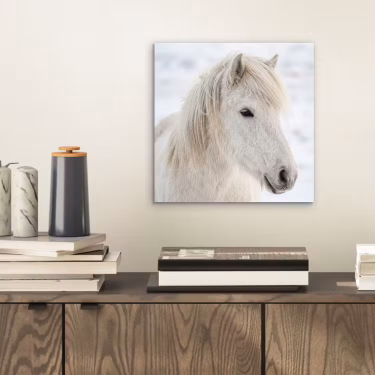 Aluminium schilderij - Paard - Kop - Winter - Dieren - Wit — 2