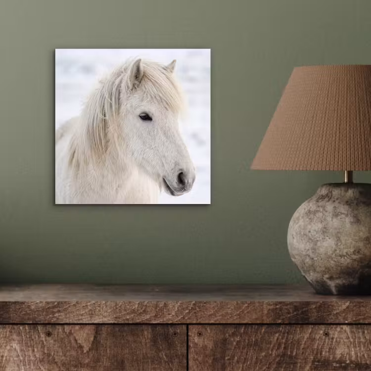 Aluminium schilderij - Paard - Kop - Winter - Dieren - Wit — 3