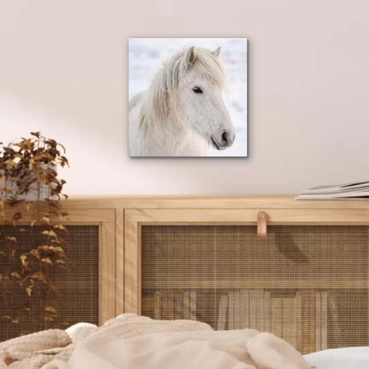 Aluminium schilderij - Paard - Kop - Winter - Dieren - Wit — 4