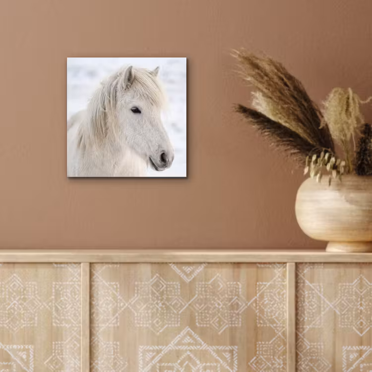 Aluminium schilderij - Paard - Kop - Winter - Dieren - Wit — 5