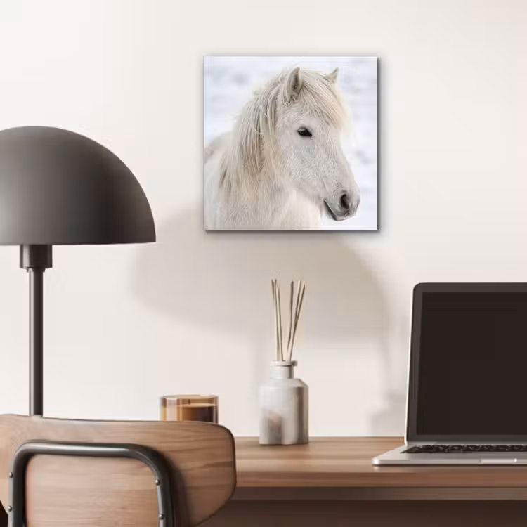 Aluminium schilderij - Paard - Kop - Winter - Dieren - Wit — 6