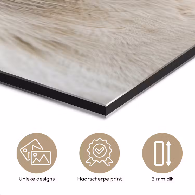 Aluminium schilderij - Paard - Kop - Winter - Dieren - Wit — 7