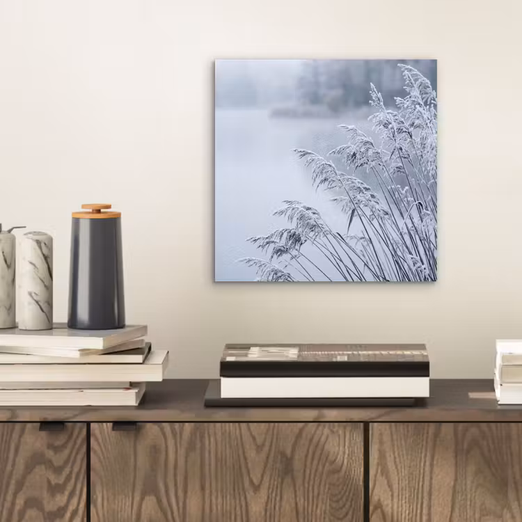 Aluminium schilderij - Riet - Bevroren - Winter - Natuur — 2