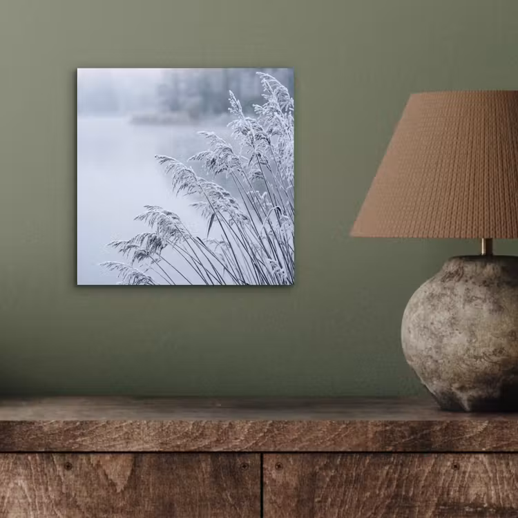 Aluminium schilderij - Riet - Bevroren - Winter - Natuur — 3