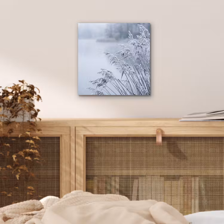 Aluminium schilderij - Riet - Bevroren - Winter - Natuur — 4