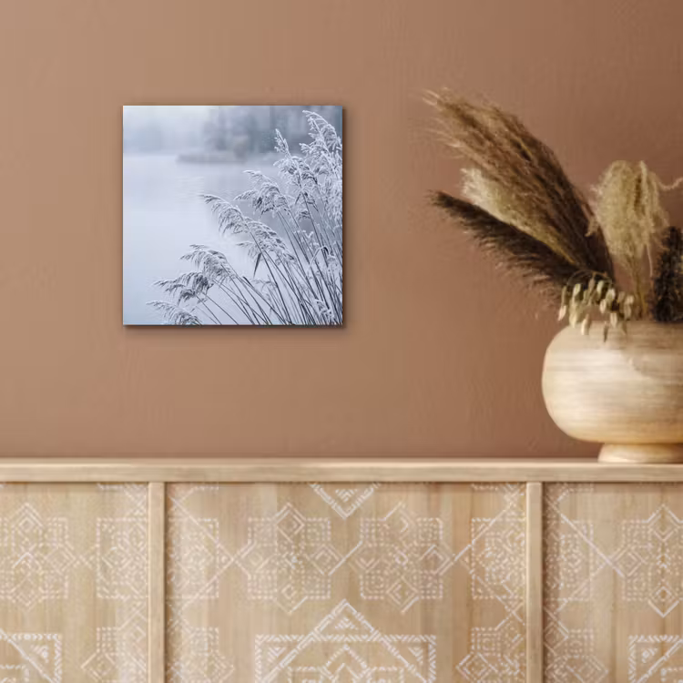 Aluminium schilderij - Riet - Bevroren - Winter - Natuur — 5