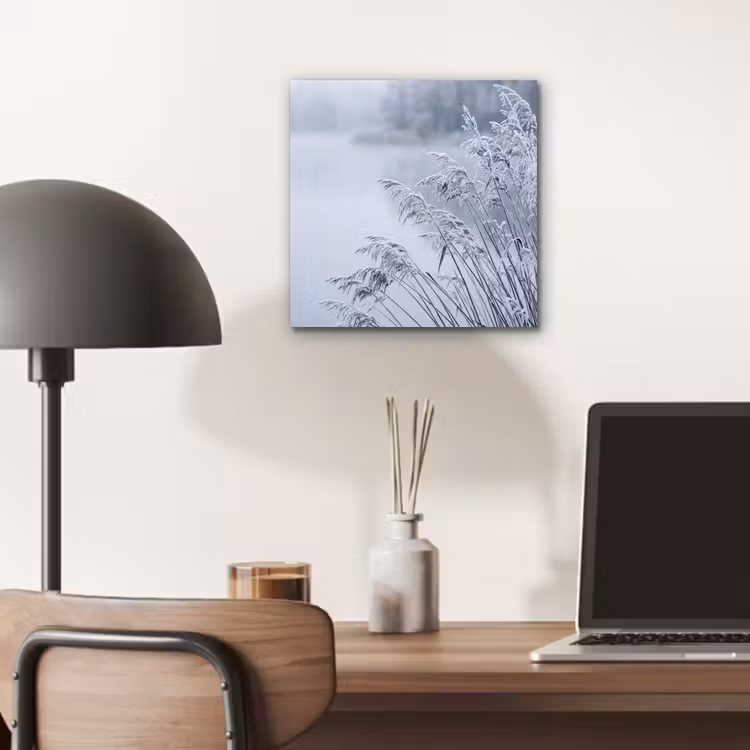 Aluminium schilderij - Riet - Bevroren - Winter - Natuur — 6