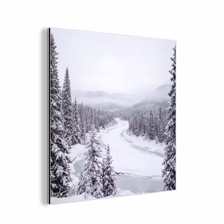 Aluminium schilderij - Rivier - Bevroren - Landschap - Winter — 1