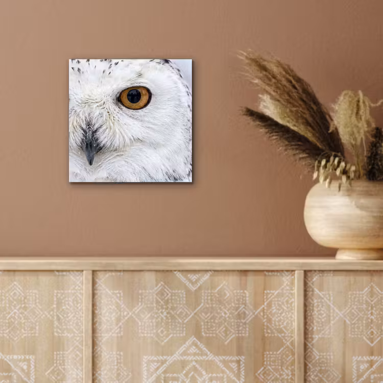 Aluminium schilderij - Sneeuwuil - Oog - Wildlife - Wit — 5