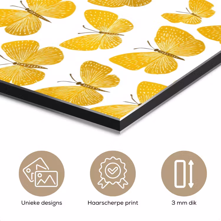 Aluminium schilderij - Vlinders - Botanisch - Illustratie - Geel - Wit — 7