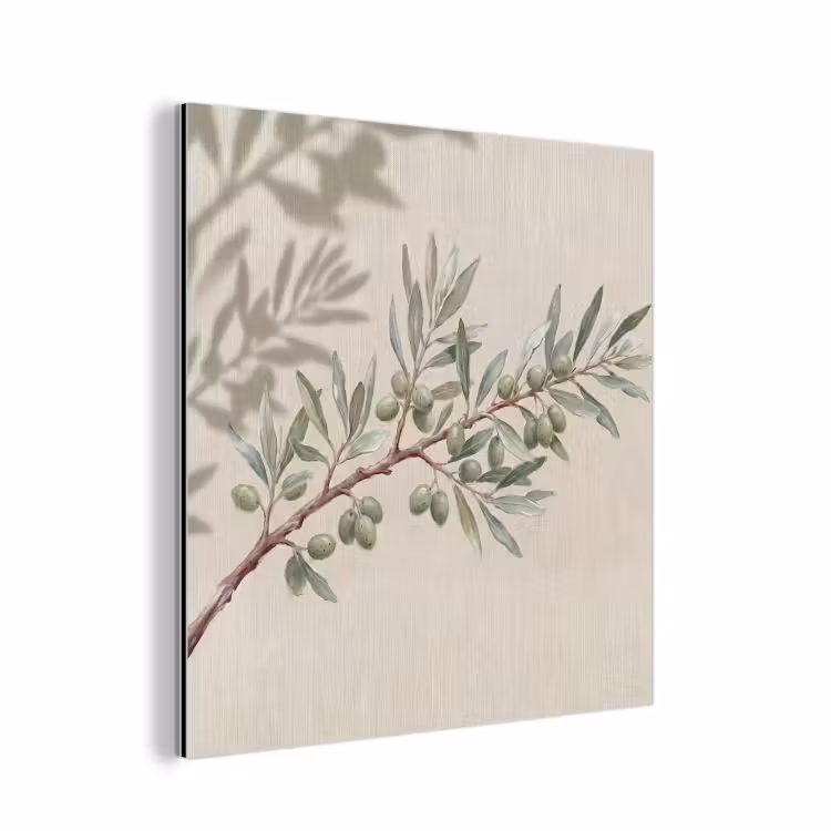 Aluminium schilderij - Olijftak - Bladeren - Natuur - Groen - Beige — 1