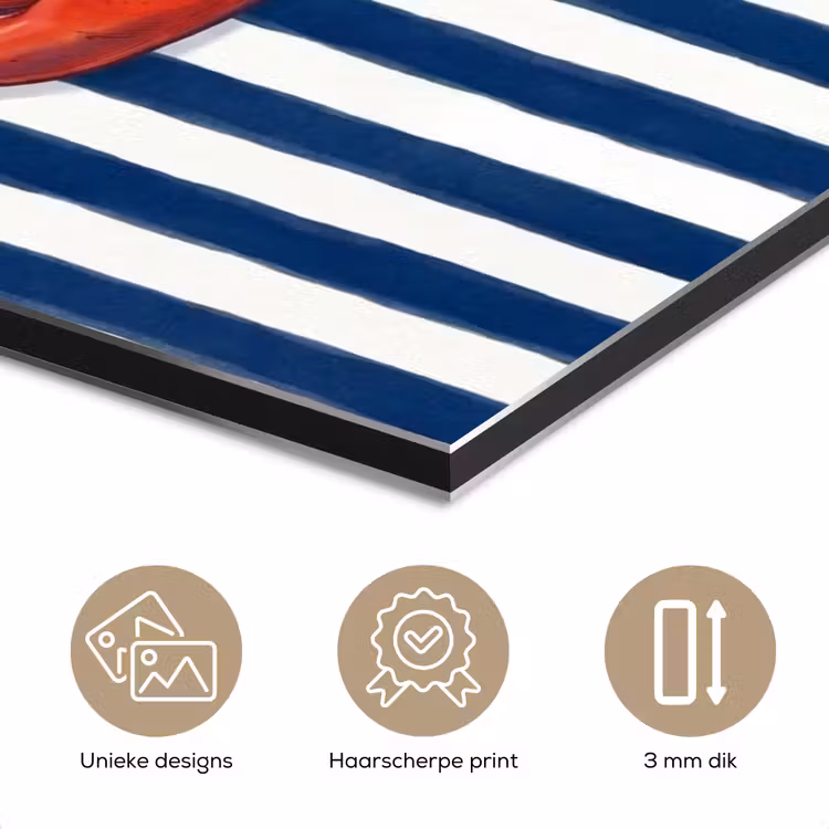 Aluminium schilderij - Schaaldier - Kreeft - Marine - Illustratie - Rood — 7