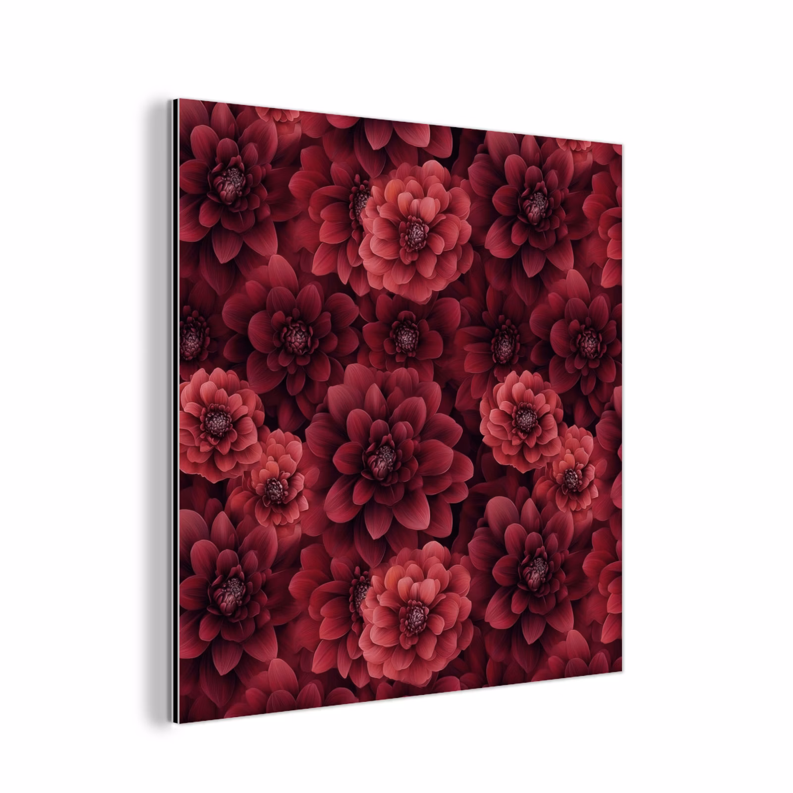 Aluminium schilderij - Dahlias - Bloemen - Rood — 1