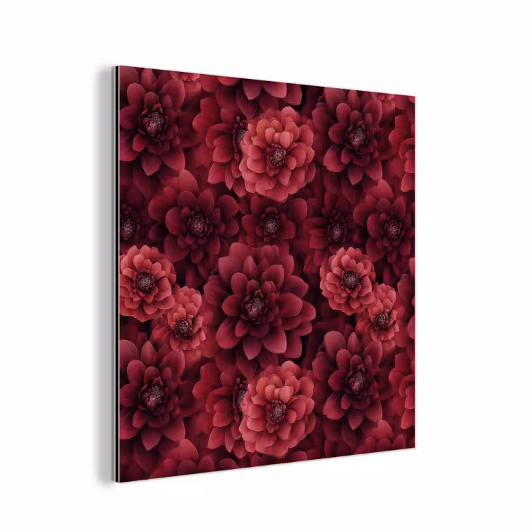Aluminium schilderij - Dahlias - Bloemen - Rood — 1