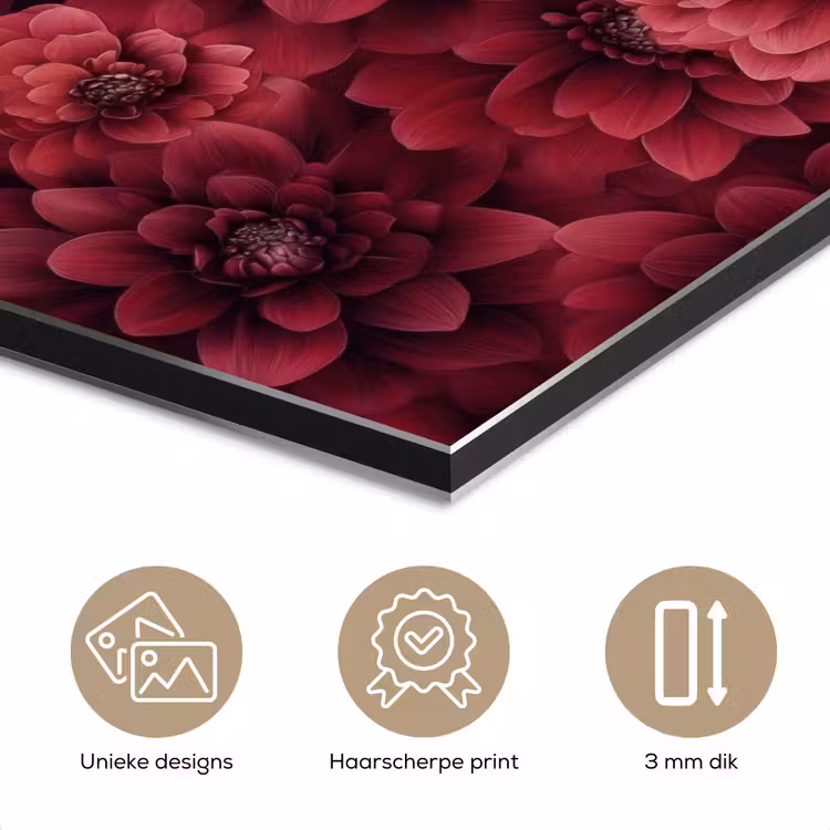 Aluminium schilderij - Dahlias - Bloemen - Rood — 7