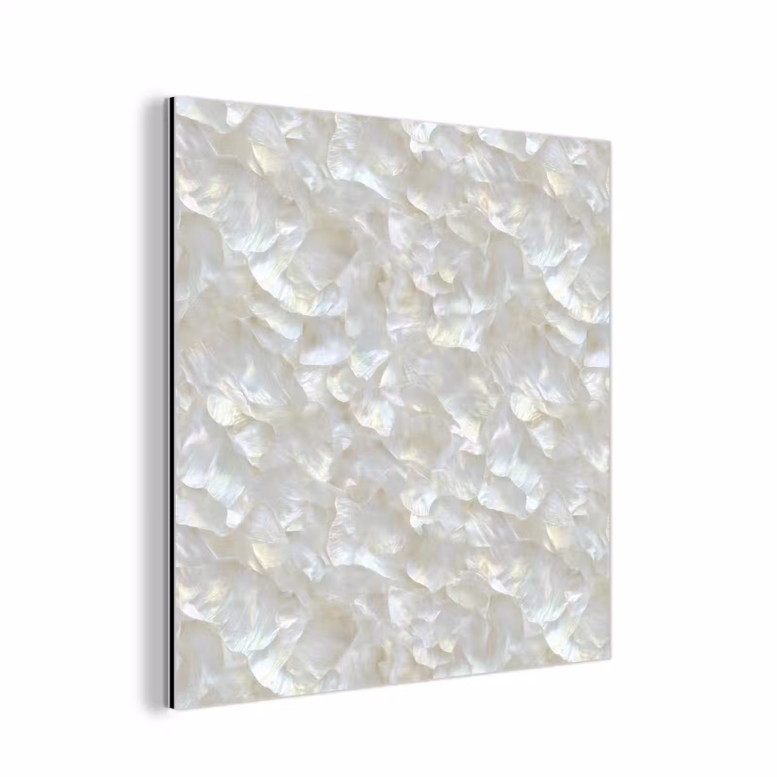 Aluminium schilderij - Parelmoerglans - Wit - Schelp — 1