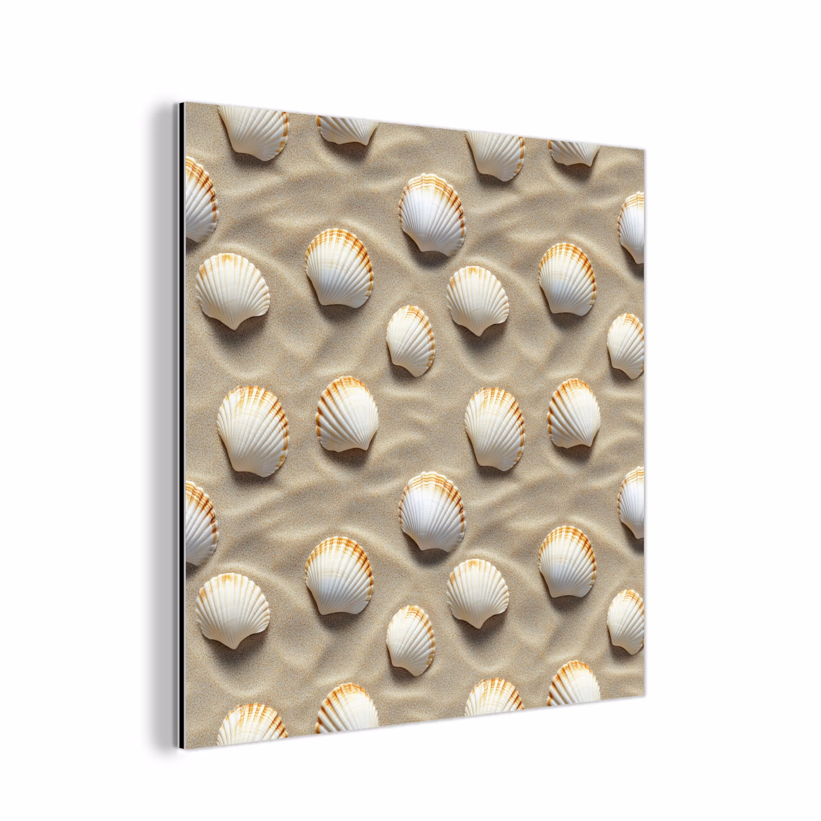 Aluminium schilderij - Schelpen - Zand - Maritiem — 1
