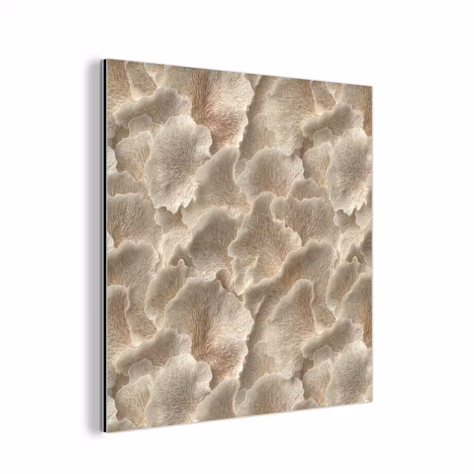 Aluminium schilderij - Waaierstructuren - Beige - Vezeltextuur — 1