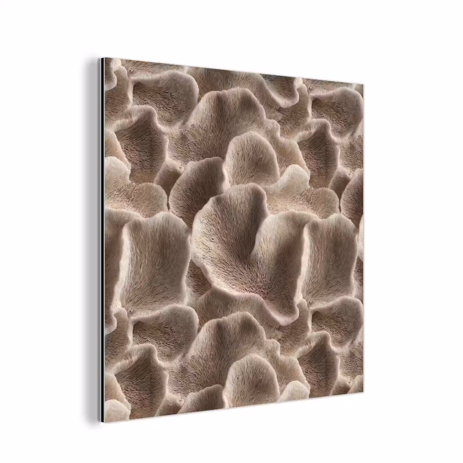Aluminium schilderij - Waaiervorm - Beige - Vezel textuur — 1