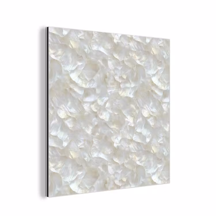 Aluminium schilderij - Parelmoerglans - Wit - Schelp — 1