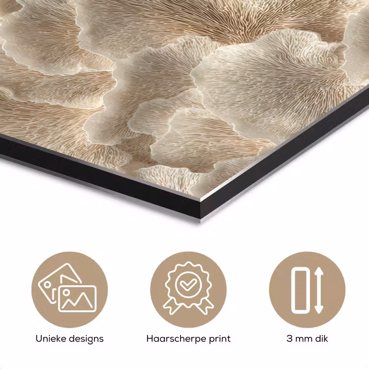 Aluminium schilderij - Waaierstructuren - Beige - Vezeltextuur — 7