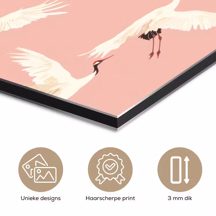 Aluminium schilderij - Modern - Kraanvogels - Roze — 7