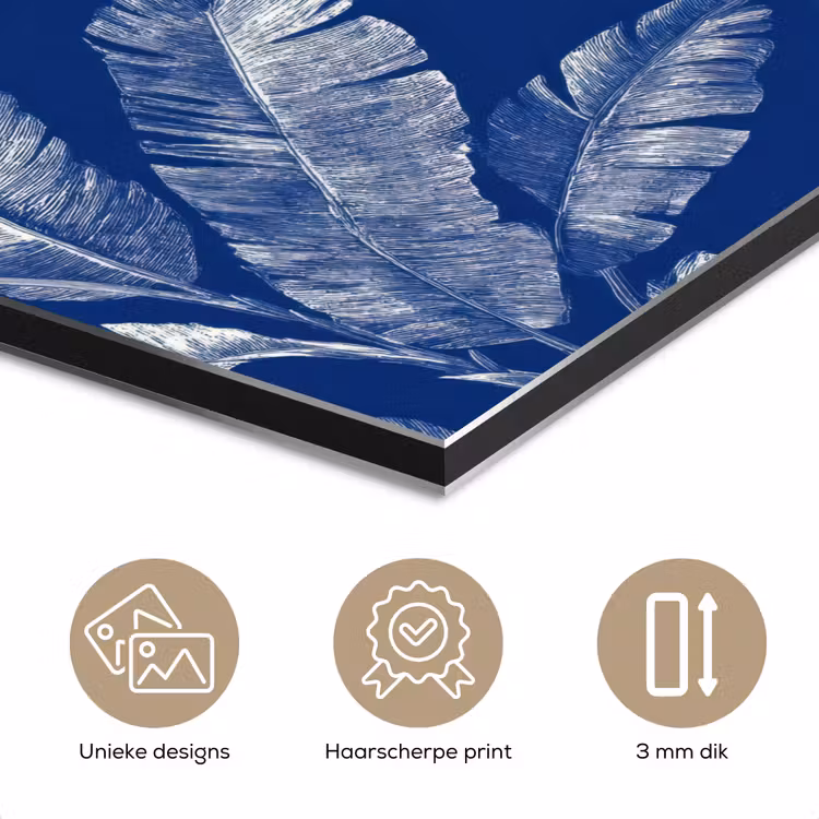 Aluminium schilderij - Blad - Palm - Blauw — 7