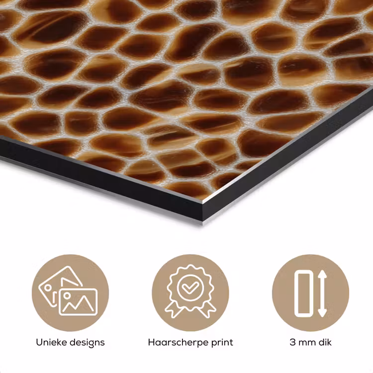 Aluminium schilderij - Schildpad - Bruin - Patroon — 7