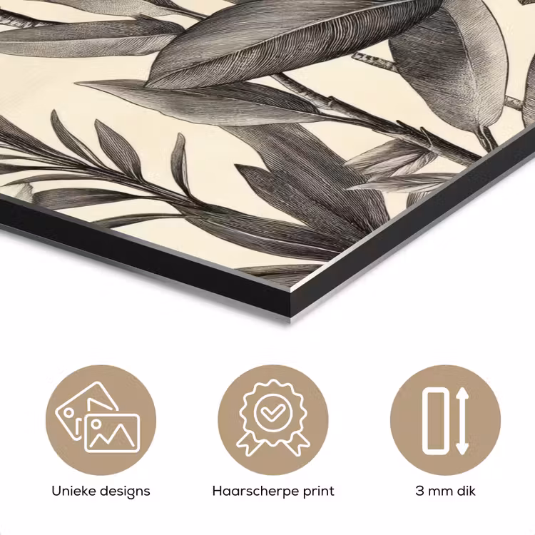 Aluminium schilderij - Klassiek - Botanisch - Zwart - Beige — 7